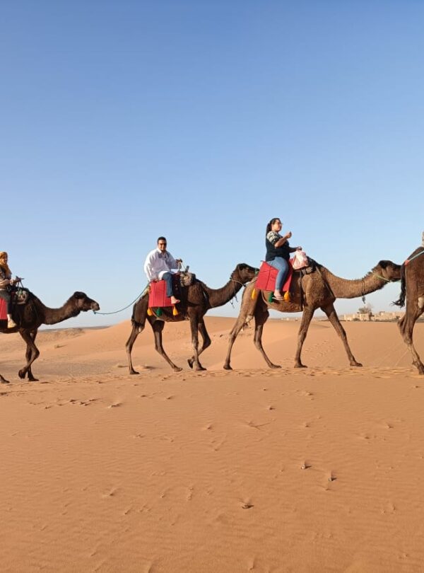 Experience the Essence of Moroccan Culture with lahniti tours