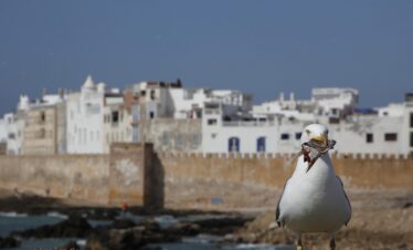 Marrakech to Essaouira